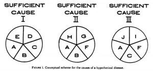 sufficient causes